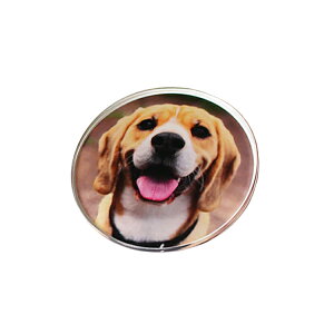 ANR[X^[DȂʐ^ō@IWi ANobW q  ̎qObY v[g Mtg ʐ^ vg IWiObY I[i[YObY ̓ Ԃ