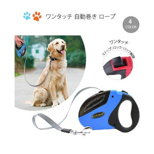 ybgpi փ[h ybg[h Lk[h ybgփ[h p  ybgЂ Lp ^b`  [v z֑.