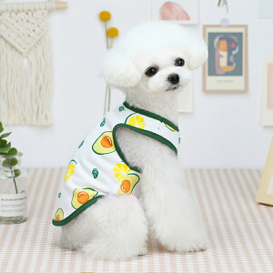 hbOEFA  ̕ TVc Ȃ hbOEFA ybg ybgpi  ^ ^ _炩 G ʕ t[c ėp ̕ 