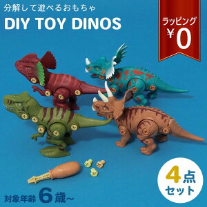 DIY TOY DINOS LbY  gݗ ߋ Zbg  mߋ gݗĊߋ j̎q ̎q j  WjA _Ci\[  킢  a v[g NX}X M