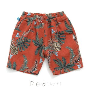 F.O.KIDS(GtI[LbY) VFt V[c n[tpc 100 V[gpc Y{ LbY WjA j̎q 5  fj K[[pc 100 110 120 130 140 150cm `FbN R223083