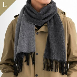 JV~100%}t[ Y `FbN Y19  JV~A}t[ JV~ JV~A }t[ JV~100 `FbN}t[ uh v[g Mtg ̓ hV̓