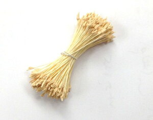 yA[gt[ޗzybvix[WjP-204