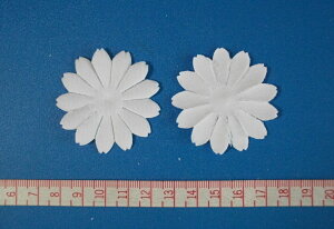 yA[gt[ޗzِVf[W[ijr[h 100