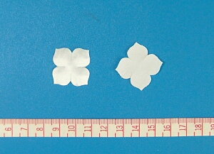 yA[gt[ޗzكAWTCijiTejTM-144 100