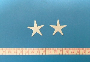 yA[gt[ޗzكoKNijTe100