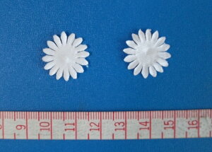 yA[gt[ޗzِVf[W[ijr[h100