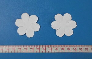 yA[gt[ޗzكRXXijr[h 50