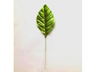 yo[tijV[CgO[12z12-265