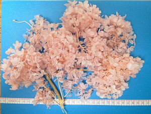 y\tgs~bhAWTCEwbhixr[sNj2ցz101