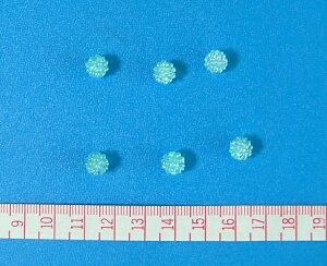 �y�x���[�r�[�Y8mm No6�i���F�j50���z