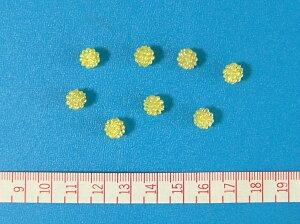 �y�x���[�r�[�Y8mm No12�i���j50���z