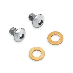 y45815-03zn[[@tH[NXC_[hCXN[Lbg Chrome Fork Slider Drain Screw Kit^EVO_Ci^TC\teC^X|[cX^[^_Ci^