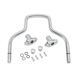 y52300324Azn[[@NCbN[XEV[V[o[AbvCg^t[EB[[fQuick-Release Sissy Bar Upright - Freewheeler^M8c[O&gCN