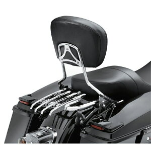 y53472-09Azn[[@XeXEH-Df^b`uEc[AbvEQbWbNStealth H-D Detachables Two-Up Luggage Rack^M8c[O&gCN^TCc[O&gCN
