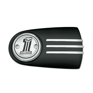 y61300218zn[[@io[XJERNV GAN[i[gNumber One Skull Air Cleaner Trim^TC\teC^TCc[O&gCN