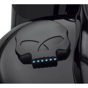 y70900781zn[[@LEDtGQ[WSkull LED Fuel Gauge^M8c[O&gCN^TC\teC^TCc[O&gCN^_Ci^