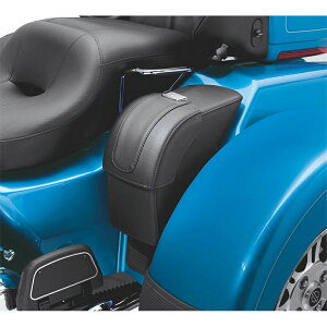 y84031-11zn[[@gCNEThobOTrike Saddlebags^M8c[O&gCN^TCc[O&gCN