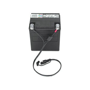 y94624-97Bzn[[@obe[`[W[n[lXBattery Charging Harness^V-ROD^Xg[g^X|[cX^[^_Ci^