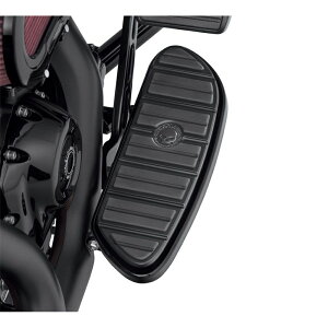 y50501286zn[[@EB[G.EXJERNVEtbg{[hECT[gLbg^ubN@C_[AXEFvgECOX^CWillie G Skull Rider Footboard Inserts^EVOc[