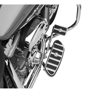 y50704-04zn[[@EB[G.EXJERNVEtbg{[hCT[g^N[@C_[^XEFvgECOVFCvWillie G Skull Rider Footboard Inserts^EVO\teC^TC