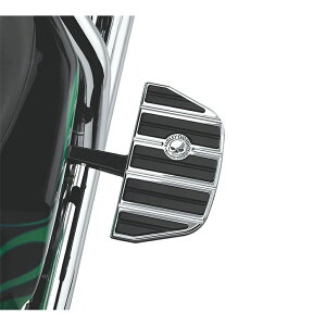 y50713-04zn[[@EB[G.EXJERNVEtbg{[hCT[g^N[@pbZW[^gfBViVFCvWillie G Skull Passenger Footboard Inserts^EVO\teC