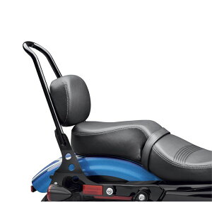 y52400125zn[[@pbZW[sI f16XL1200XX^CPassenger Pillion - f16 Forty-Eight Style^X|[cX^[