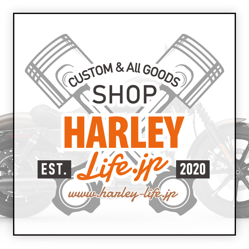 HARLEY-DAVIDSON 商品 ハーレーダビッドソン カスタム バイク用品 M8 ツインカム ソフテイル ハーレー純正 TAIL BAG ミルウォーキー STOR KIT 種類豊富な品揃え