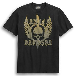 HARLEY-DAVIDSON in[[_rbh\jY XJEBO V[gX[u TVc_96307-20VM