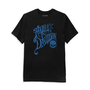 HARLEY-DAVIDSON in[[_rbh\jYXJTVc_96342-22VM