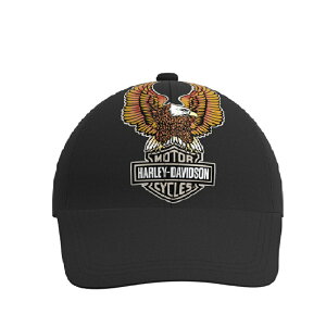 HARLEY-DAVIDSON in[[_rbh\jNVbNC[O x[X{[Lbv_97650-23VW