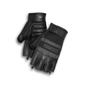 HARLEY-DAVIDSON in[[_rbh\jYEZ^[CEtBK[XEO[u 98250-13VM