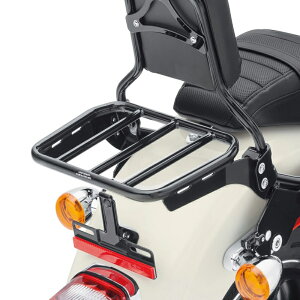 y 50300131B zn[[@X|[cQbWbN z[ht@XgV[V[o[AbvCgp-OXubNSport Luggage Rack for HoldFast