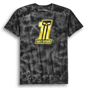 HARLEY-DAVIDSON in[[_rbh\jY XtBbg #1 XJ V[gX[u ^C_CTVc_96245-20VH