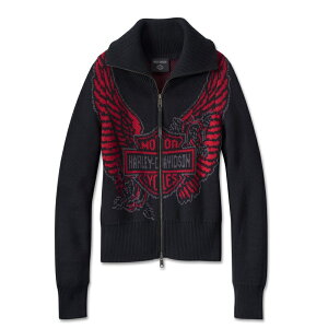 HARLEY-DAVIDSON in[[_rbh\jEBY C[OEWbvAbvZ[^[_96250-24VW