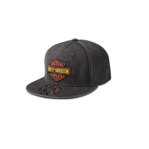 HARLEY-DAVIDSON in[[_rbh\jY o[V[hEHbVhtBbgLbv_97776-23VM