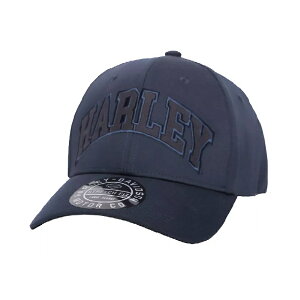 HARLEY-DAVIDSON in[[_rbh\jY XeCv Xgb`tBbgLbv_97799-23VM