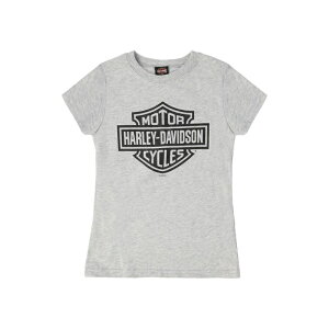 HARLEY-DAVIDSON in[[_rbh\jLbY gK[Y Ob^[o[V[hTVc_SGI-1539365