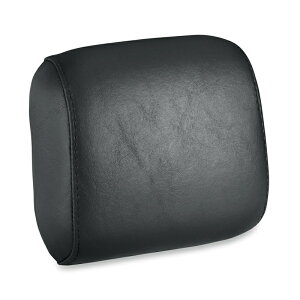 y52300038zn[[ pbZW[EobNXgpbh/ubNC\teCXpSmooth Passenger Backrest Pad