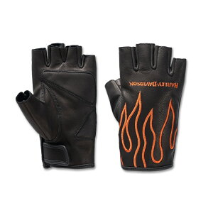 HARLEY-DAVIDSON in[[_rbh\jEBY COiCgEtBK[XU[O[u_98208-24VW