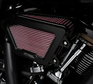 y29400466zn[[ XN?~C[O GNXg[EFbWGAN[i[/SCREAMINfEAGLE EXTREME WEDGE AIR CLEANER