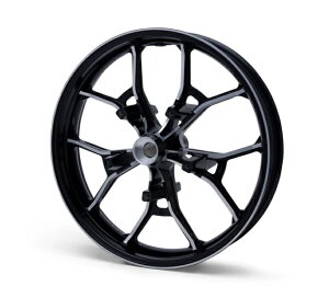 y 43300955 zn[[ ptH[}XtH[WhzC[@19C`Etg /Performance Forged19 in. Front Wheel