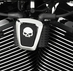 y 57300417 zn[[ EB[EGEXJ@RCJo[-N[@Coil Cover - Willie G Skull - Chrome