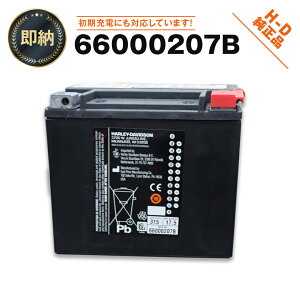 [y66000207Bzn[[@oCNobe[ H-D AGM Original Equipment BatteryiiԁF65989-97D,66000207Aj
