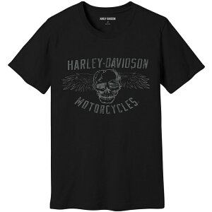 HARLEY-DAVIDSON in[[_rbh\jY XJTVc_96106-23VM