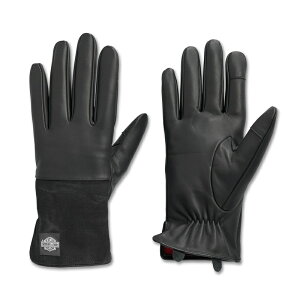 HARLEY-DAVIDSON in[[_rbh\jY [LO} [eBeBEO[u_97646-25VM