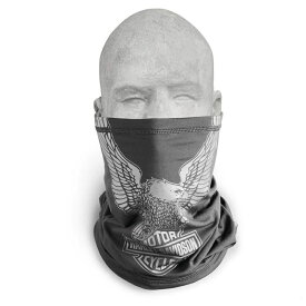 HARLEY-DAVIDSON 純正（ハーレーダビッドソン） イーグルグラフィック エクステンドレングスネックチューブ_97724-23VX