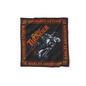 HARLEY-DAVIDSON in[[_rbh\jCgjO{gOtBbNo_i_97730-25VX