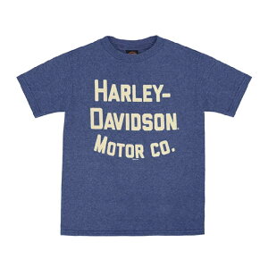 HARLEY-DAVIDSON in[[_rbh\jLbY rbO{[CY n[[_rbh\TVc_SGI-1599360