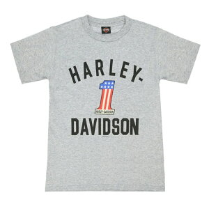 HARLEY-DAVIDSON in[[_rbh\jLbY rbO{[CY #1 TVc_SGI-1599361